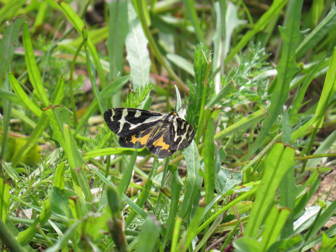 Valokuvaaja: Sirpa Uusi-Uola Valokuvaaja: Sirpa Uusi-Uola