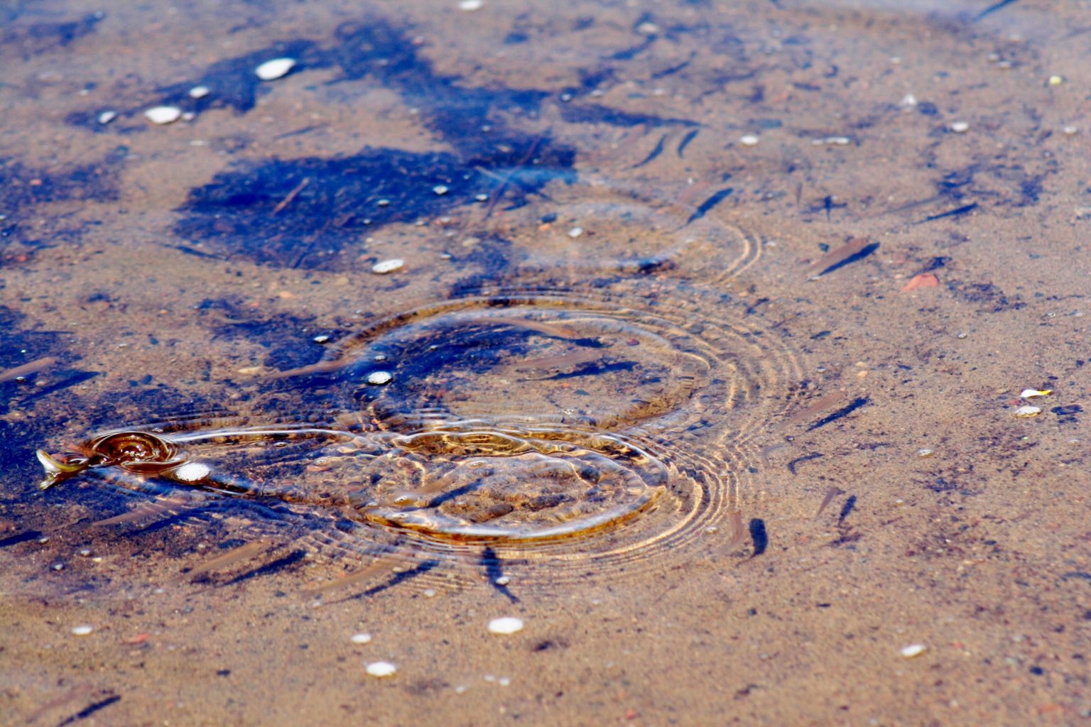 Valokuvaaja: Pirkko Siukonen