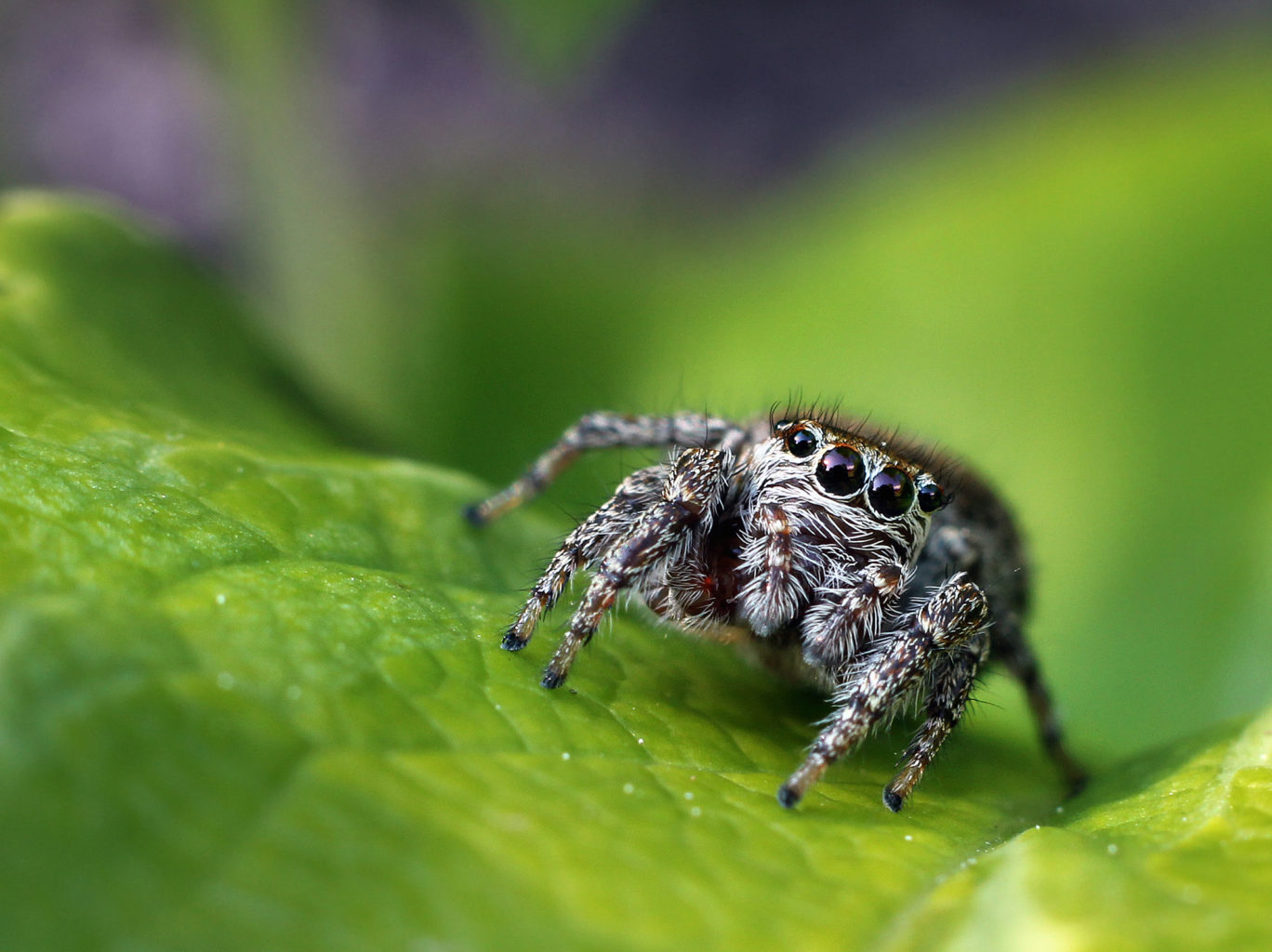 Valokuvaaja: Tarja Porkkala