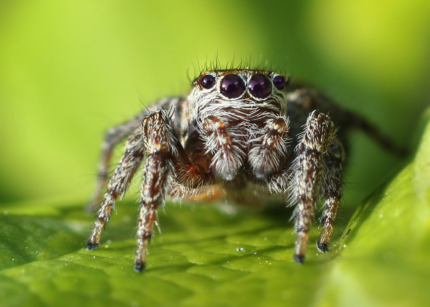 Valokuvaaja: Tarja Porkkala