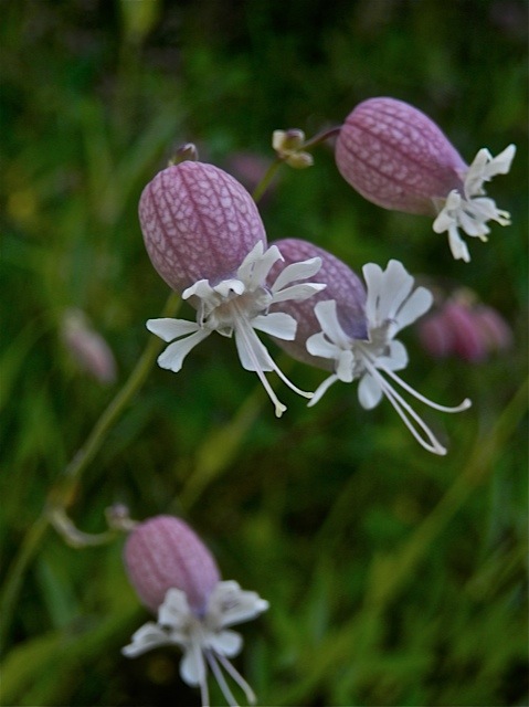 Valokuvaaja: Markku Ranta-Eilola  (mre)