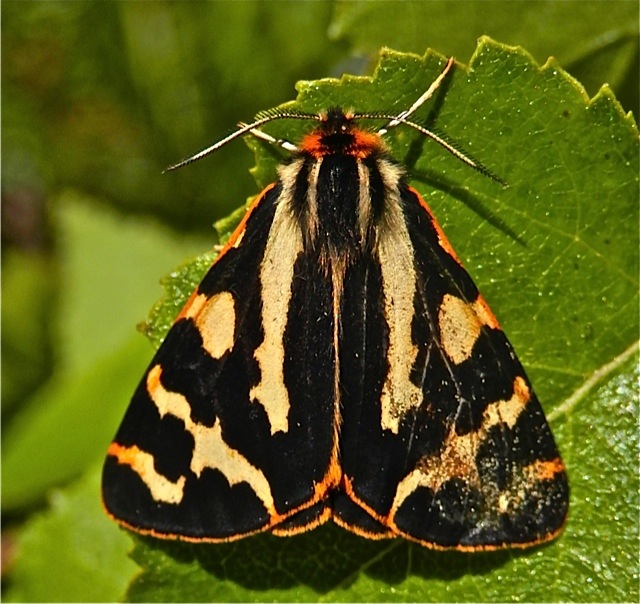 Valokuvaaja: Markku Ranta-Eilola  (mre)