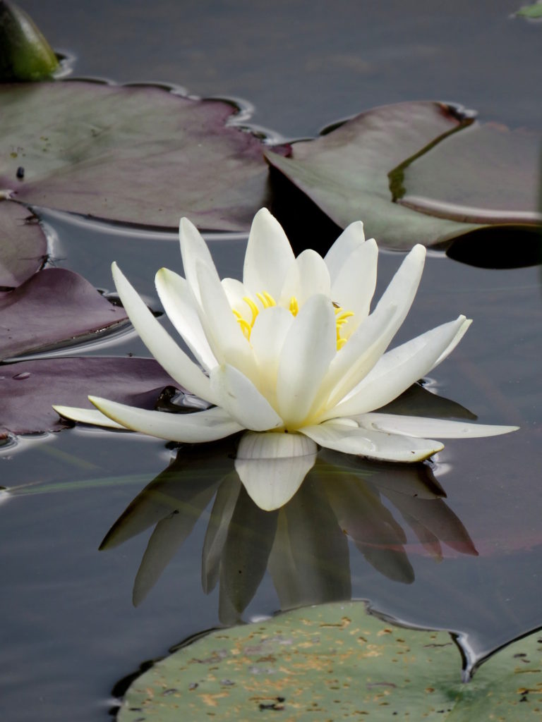 Valokuvaaja: Jaana Talvinen