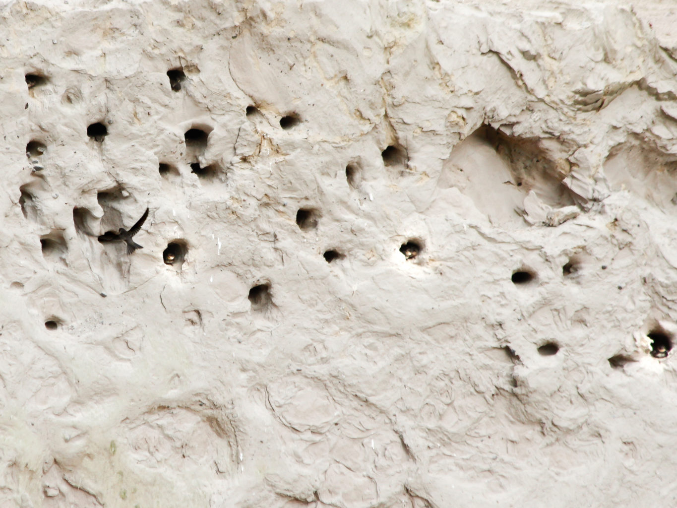 Valokuvaaja: Pirjo Hakkarainen