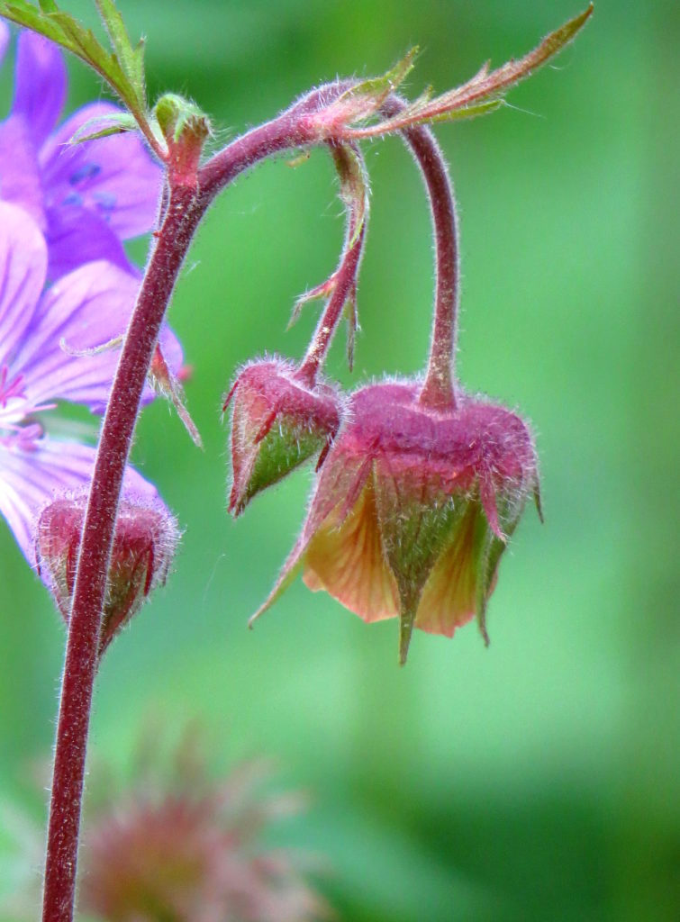 Valokuvaaja: Jaana Talvinen Valokuvaaja: Jaana Talvinen