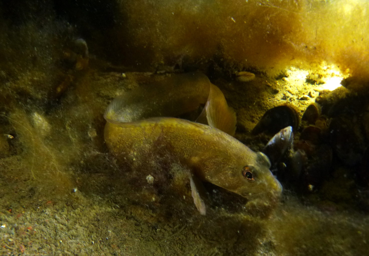 Valokuvaaja: Soili Vesanen