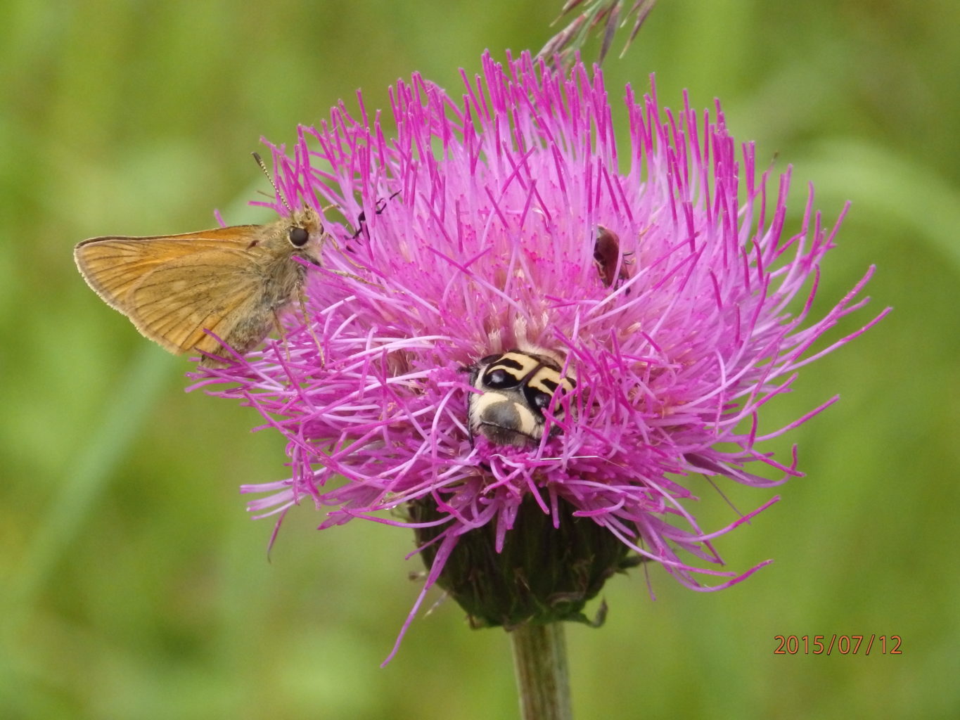 Valokuvaaja: Marja-Liisa Paavola