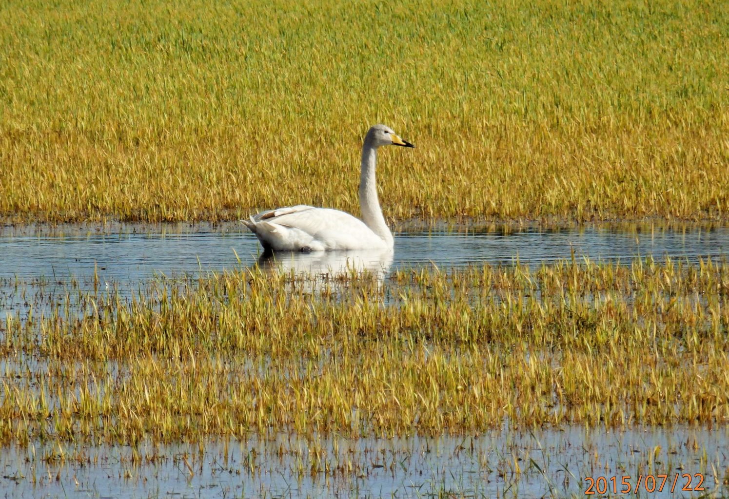 Valokuvaaja: Marja-Liisa Paavola