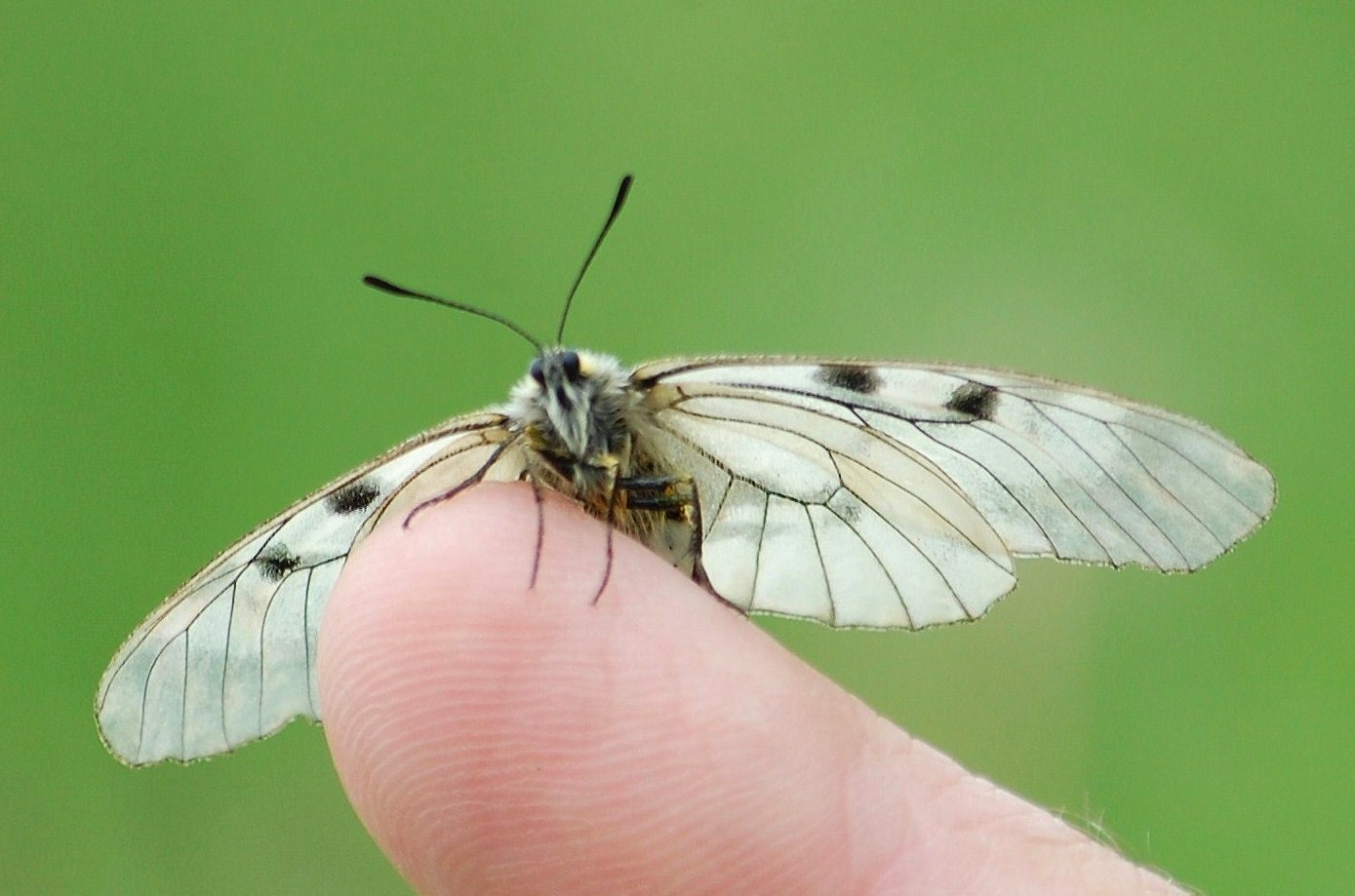 Valokuvaaja: Antti Kaskinen