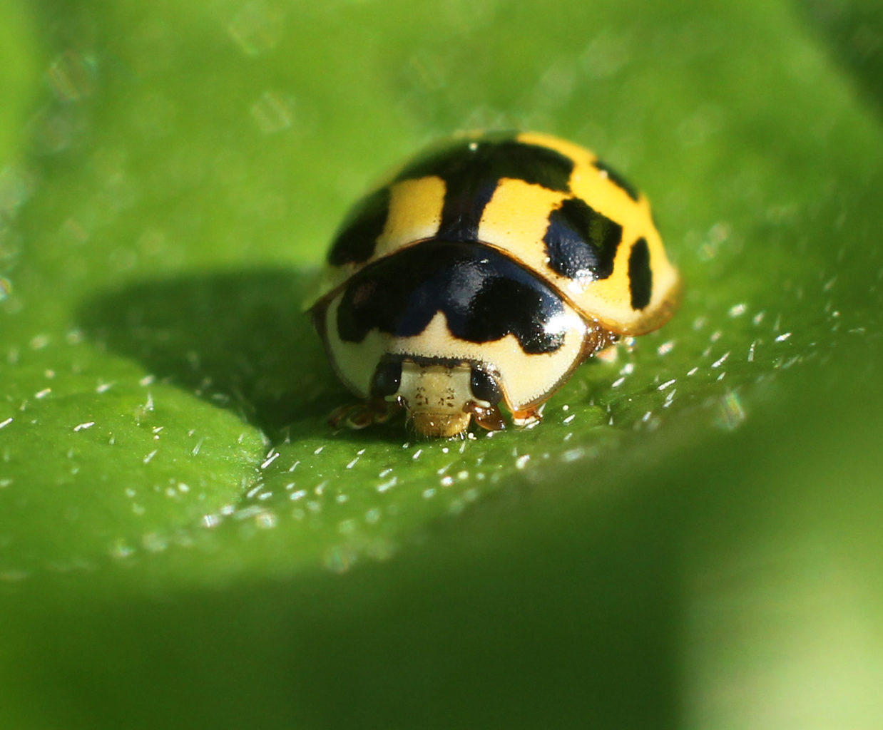 Valokuvaaja: Tarja Porkkala