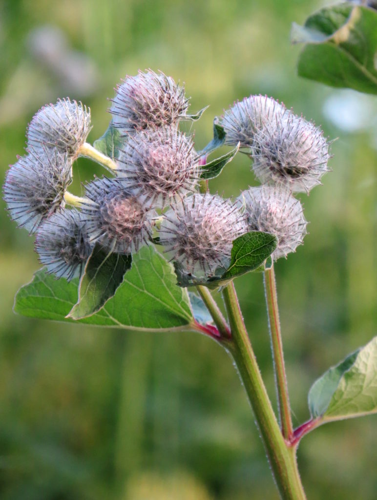 Valokuvaaja: Jaana Talvinen