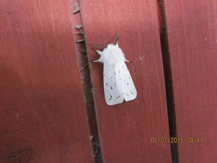 Valokuvaaja: Sirkku Viuhkonen