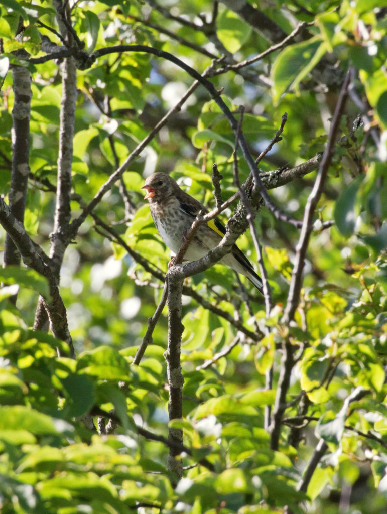 Valokuvaaja: Katri Mäkinen