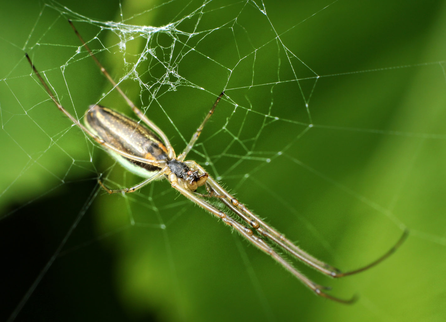Valokuvaaja: Tarja Porkkala