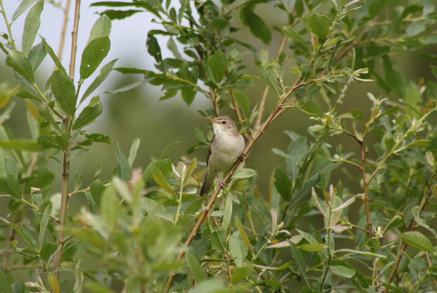 Valokuvaaja: Terhi Pöntinen