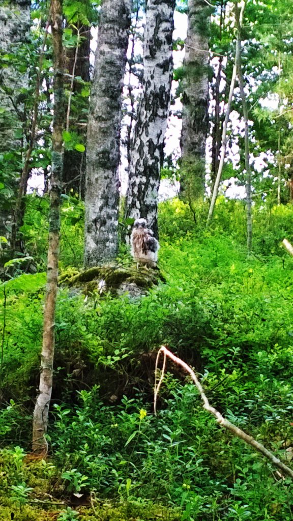 Valokuvaaja: Mikko O. Salonvaara