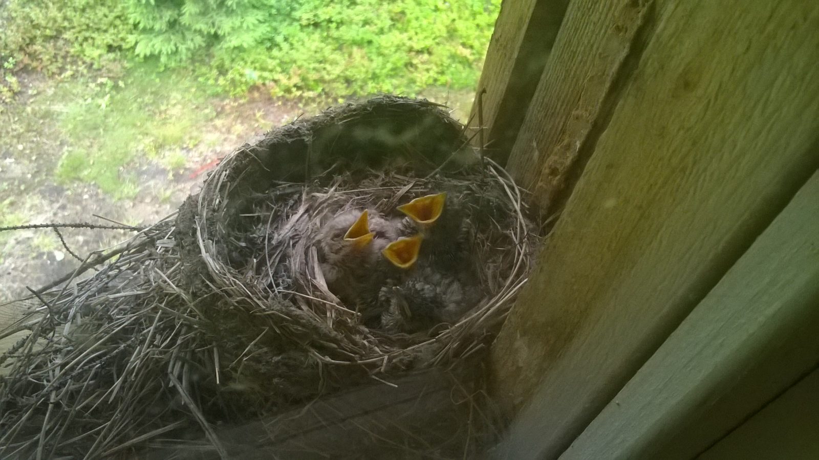 Valokuvaaja: Maija Lempiäinen