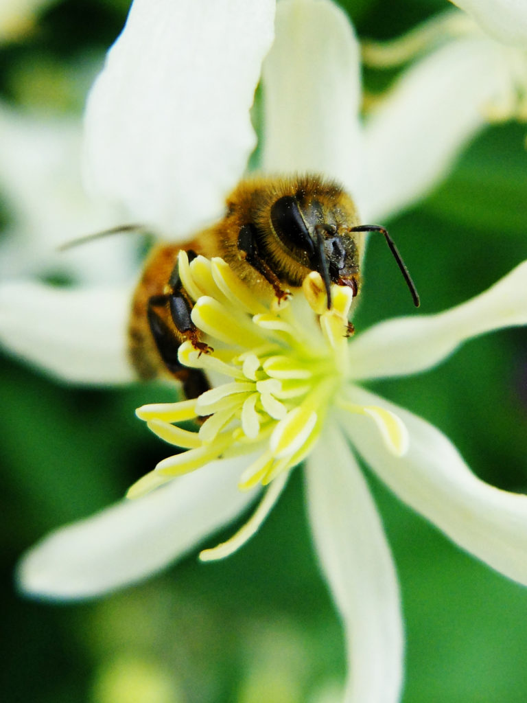 Valokuvaaja: Valpuri Karinen