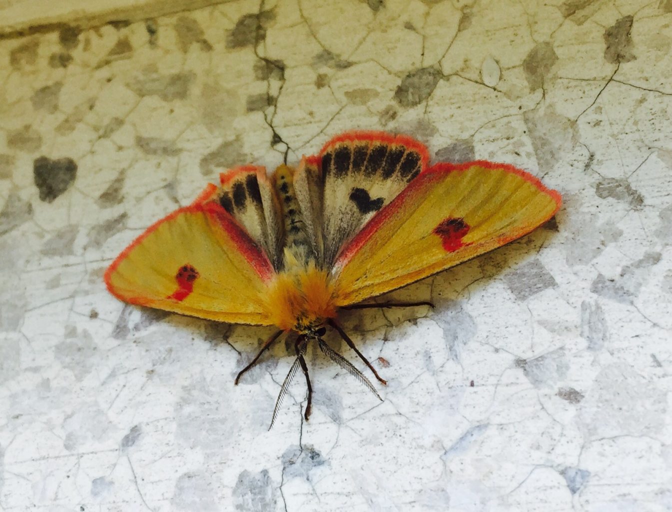 Valokuvaaja: Riikka Ronkainen Valokuvaaja: Riikka Ronkainen