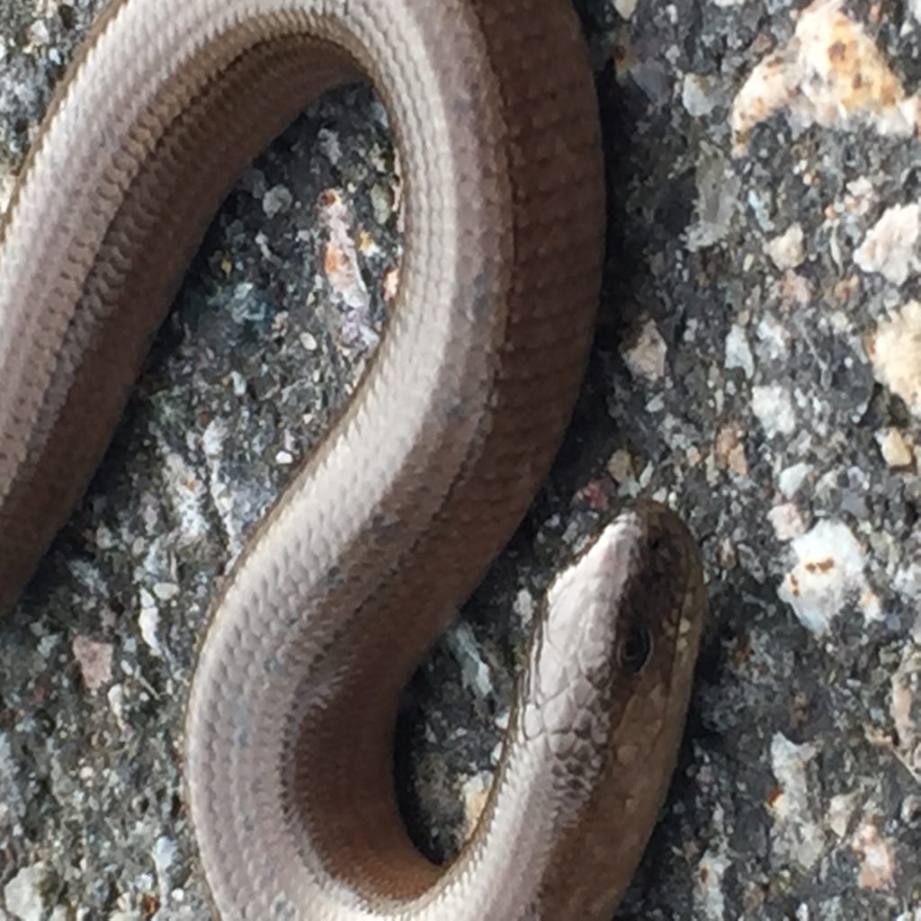 Valokuvaaja: Riina Majuri