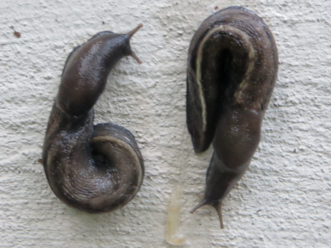 Valokuvaaja: Kai Kankare Valokuvaaja: Kai Kankare