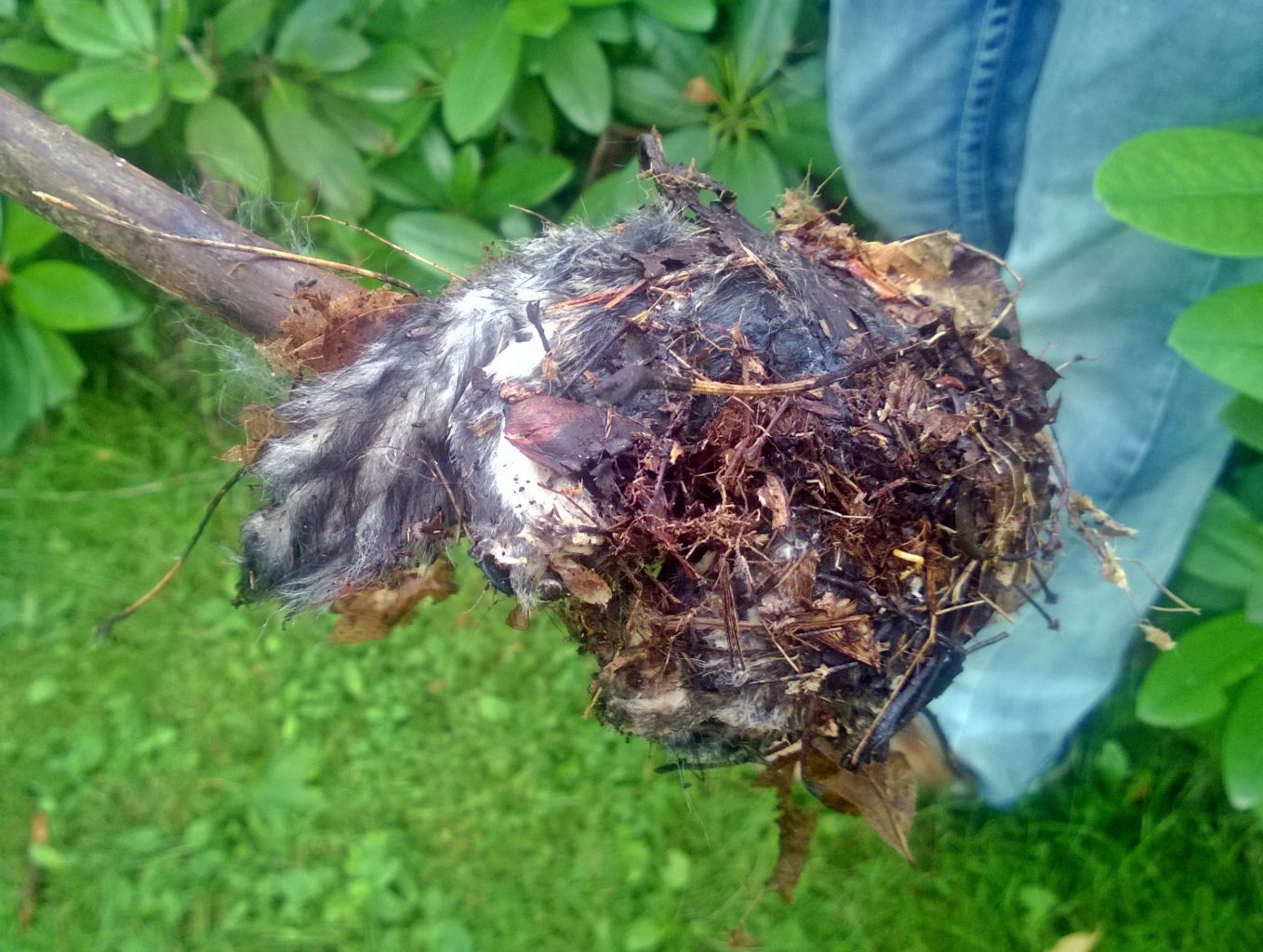 Valokuvaaja: Pirjo Tuominen