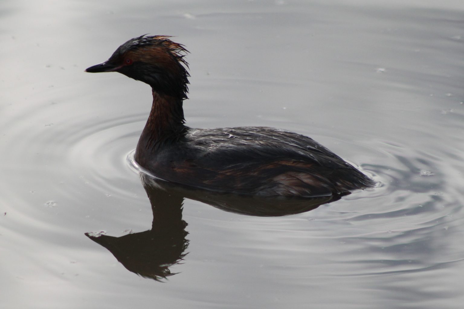 Valokuvaaja: Päivi Salonen