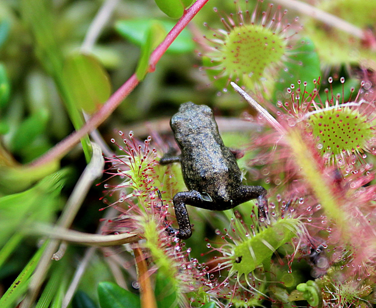 Valokuvaaja: Irja Lehtinen