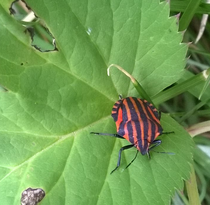 Valokuvaaja: Marja-Liisa Hotti