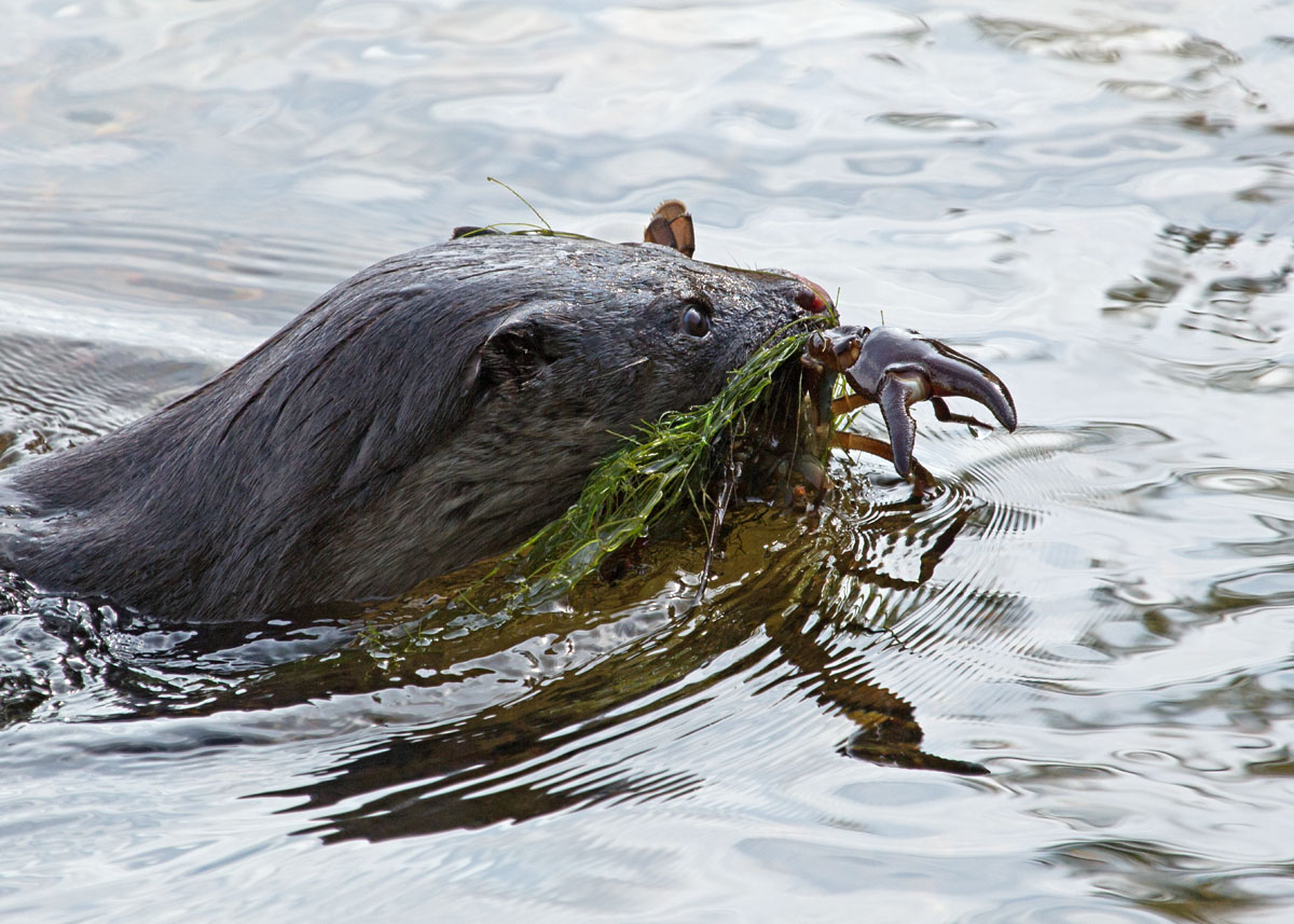 Valokuvaaja: Anna-Liisa Pirhonen