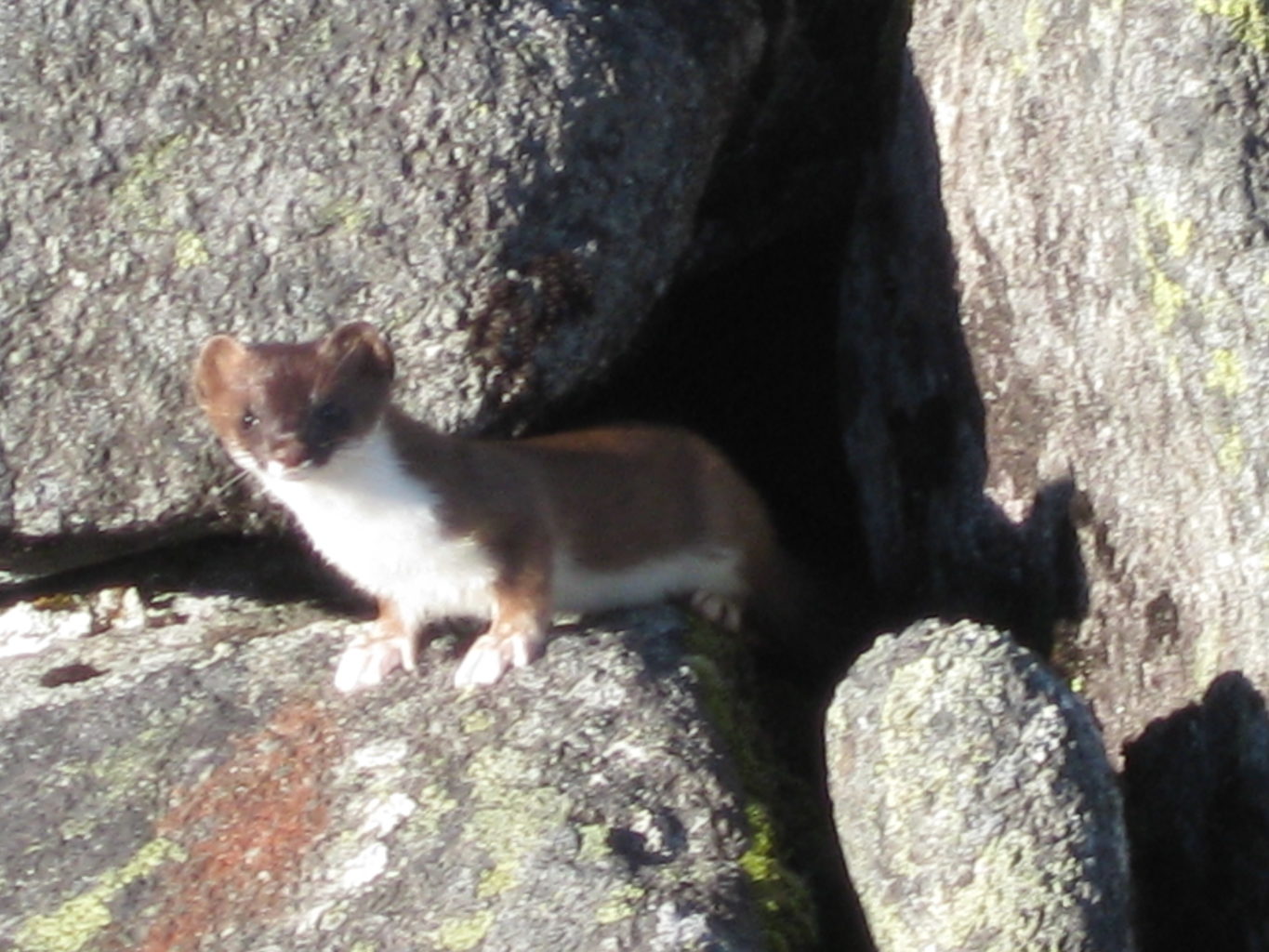 Valokuvaaja: yrjo lukkari