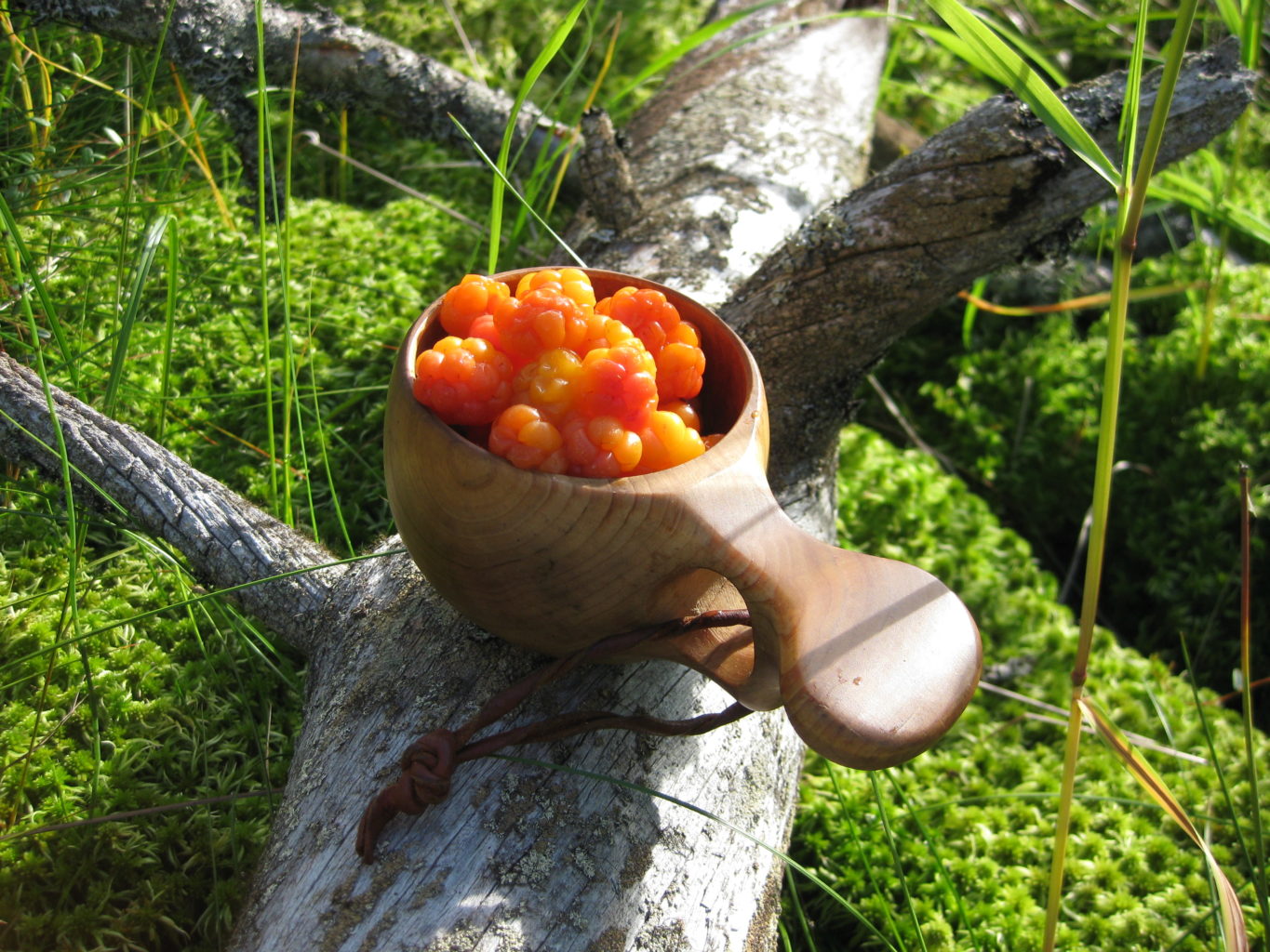 Valokuvaaja: yrjo lukkari