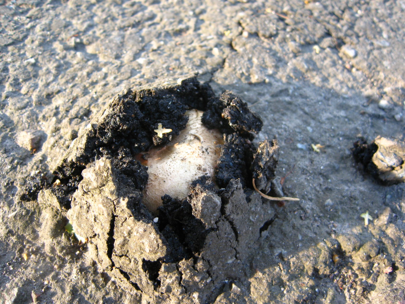 Valokuvaaja: Arja Pohto