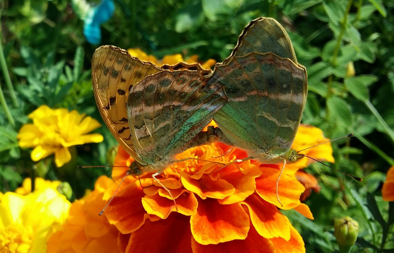 Valokuvaaja: Seppo Asp