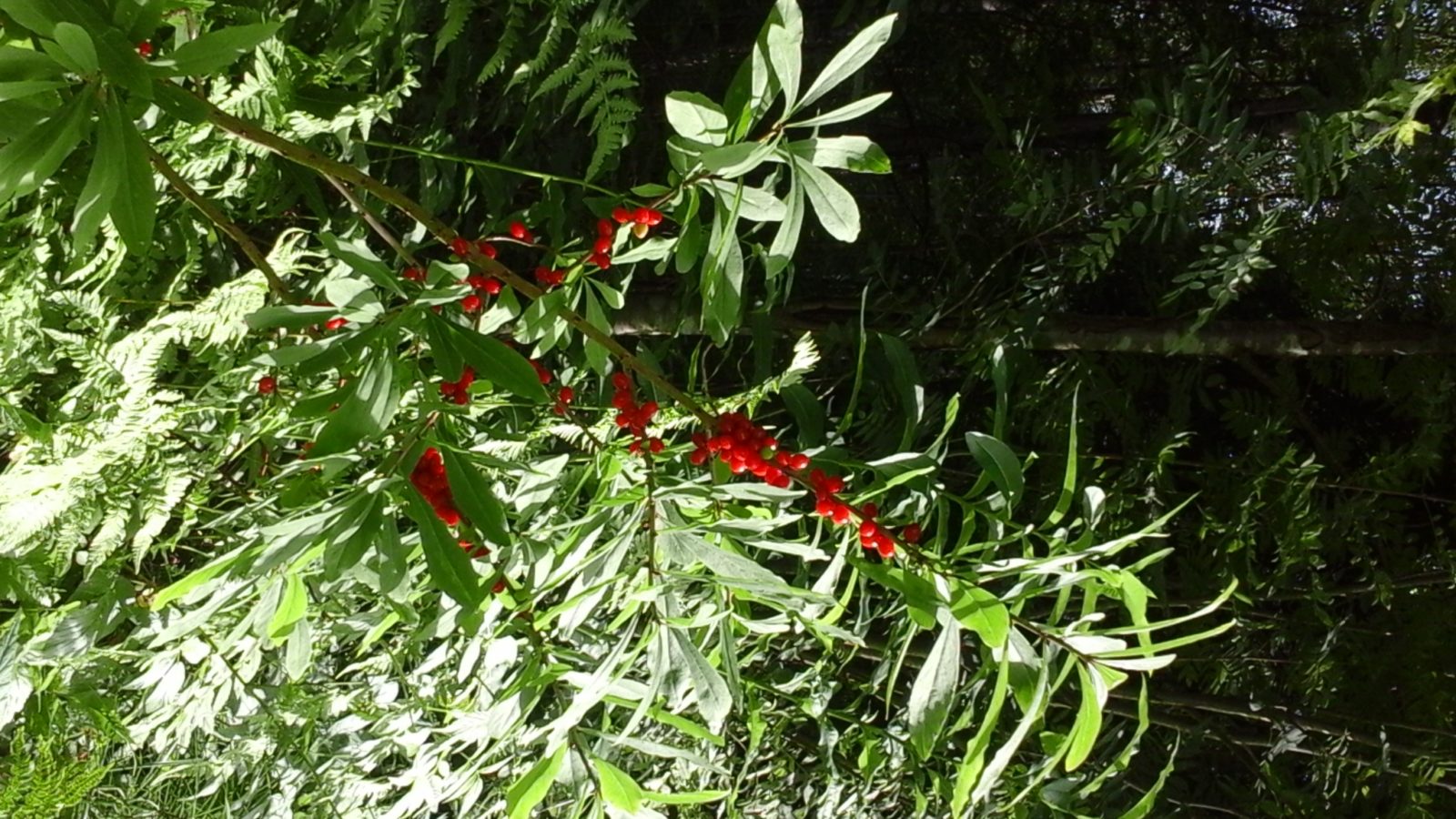 Valokuvaaja: Paula Tuikka