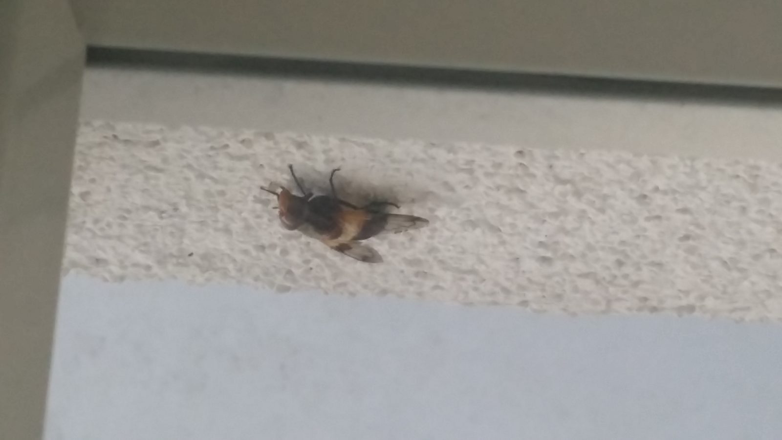 Valokuvaaja: jonna sundström