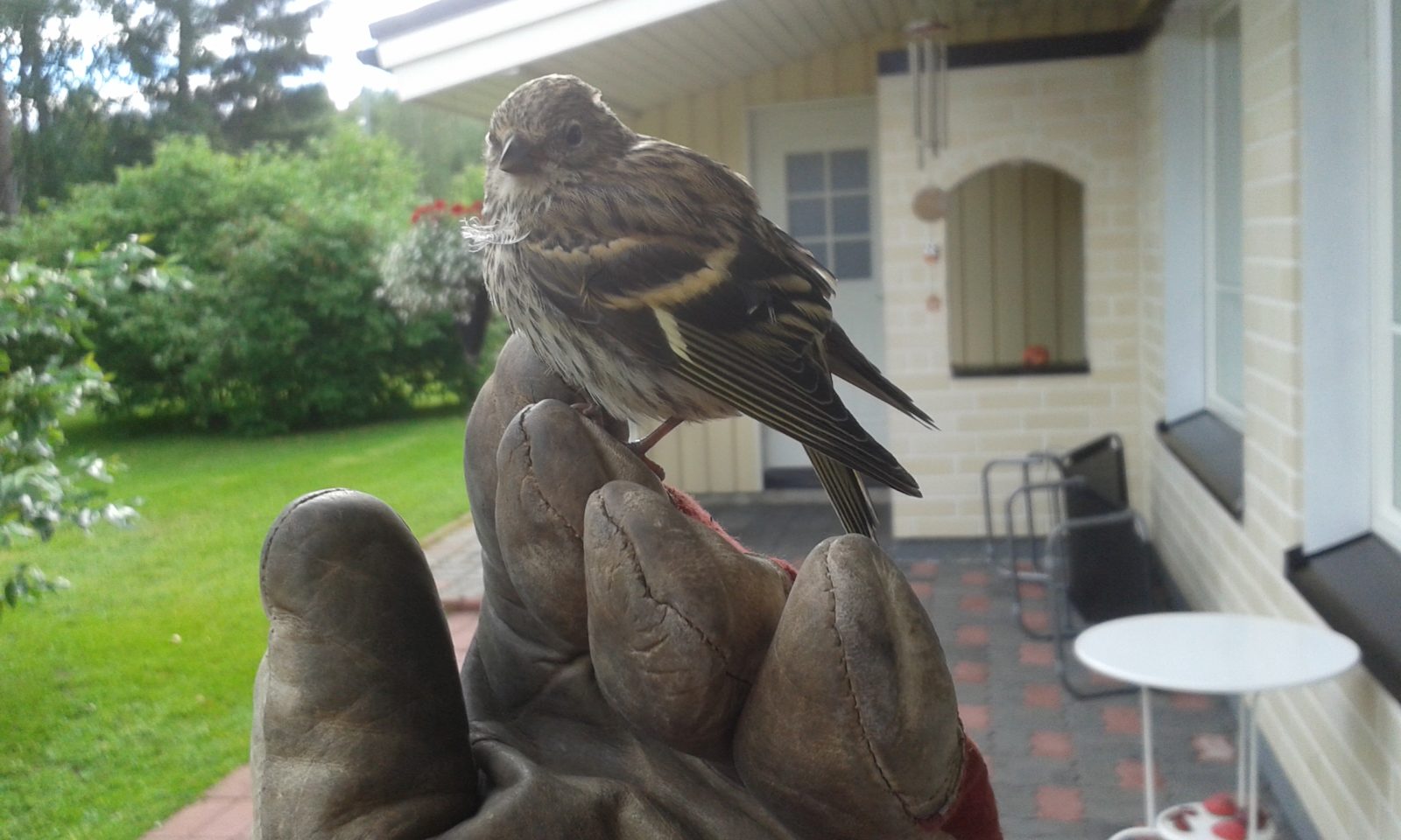 Valokuvaaja: Eija Siukonen