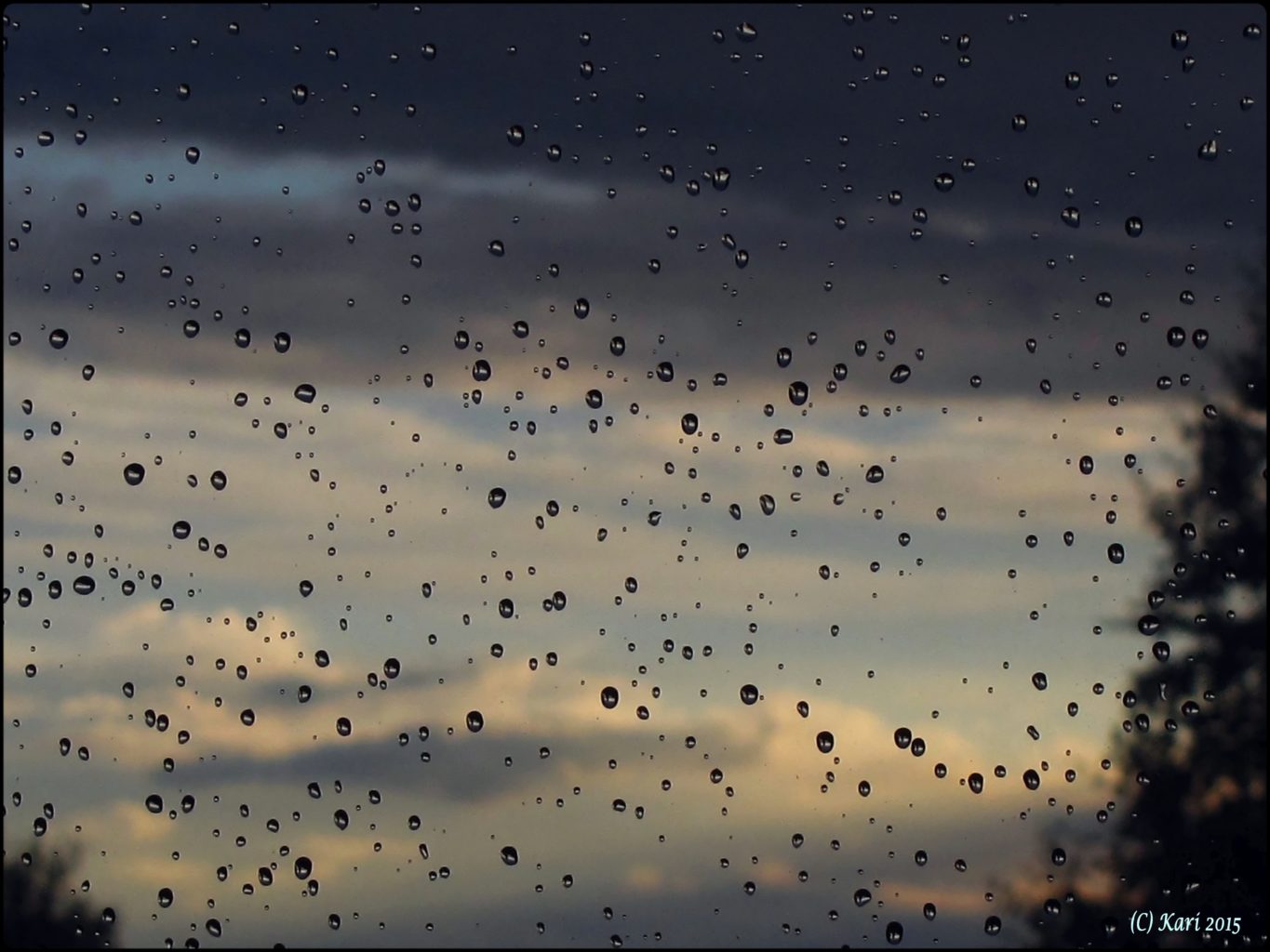 Valokuvaaja: Kari Saarinen