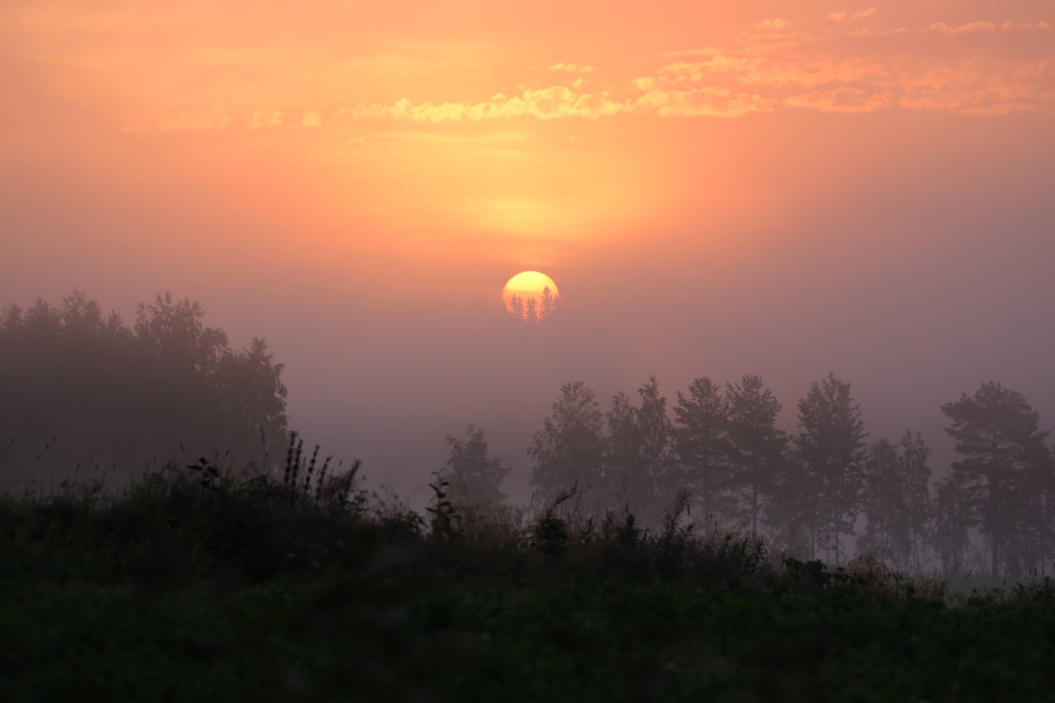 Valokuvaaja: Anne Moilanen