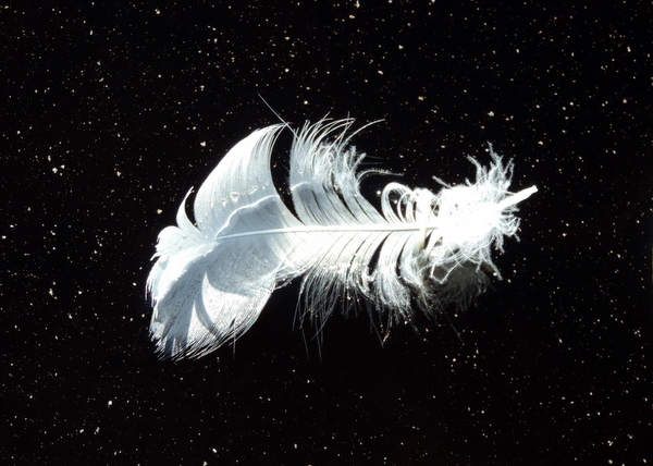 Valokuvaaja: Helena Sytelä