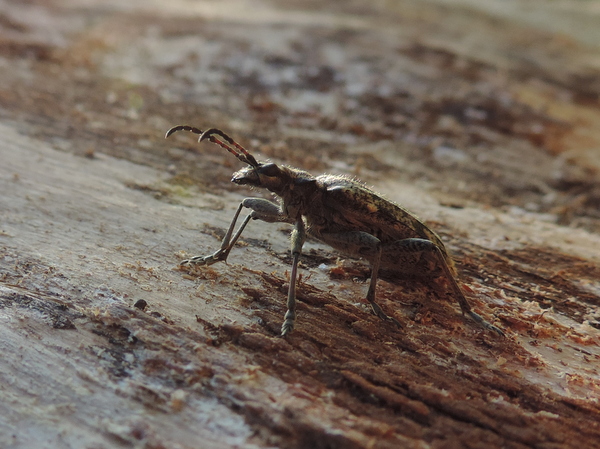 Valokuvaaja: Helena Sytelä