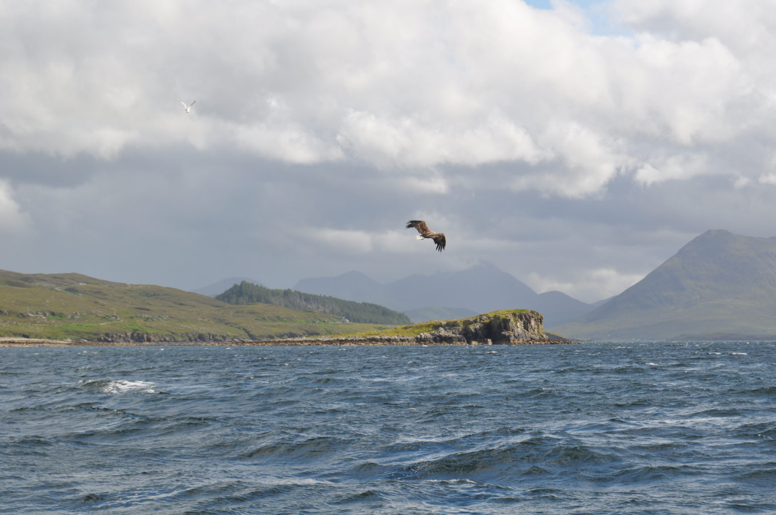Valokuvaaja: Jaana Suhonen