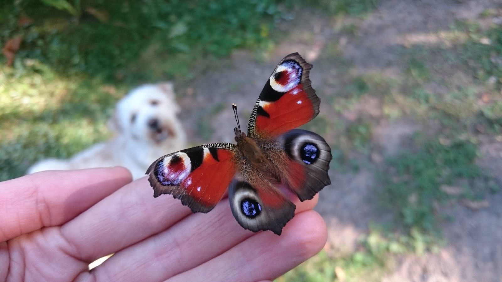 Valokuvaaja: Nanna Huotari