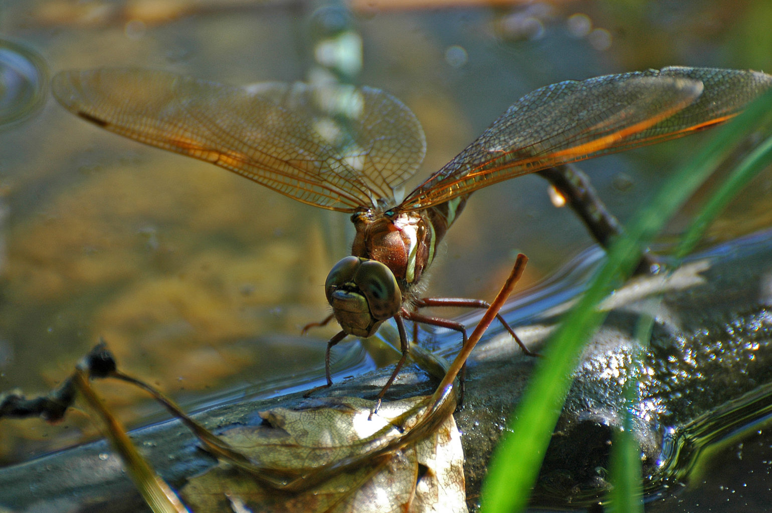 Valokuvaaja: Paavo Siukonen Valokuvaaja: Paavo Siukonen