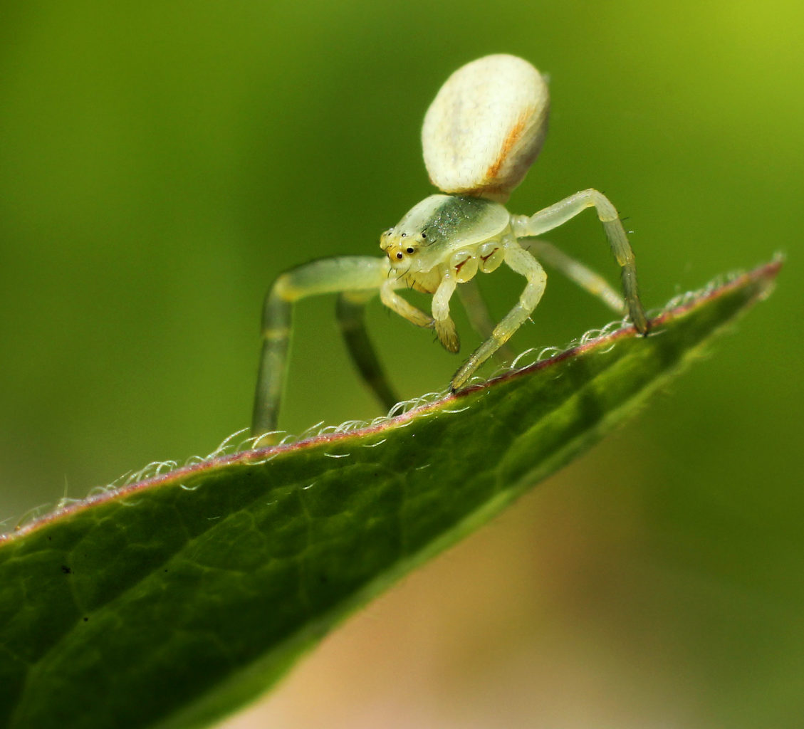 Valokuvaaja: Tarja Porkkala