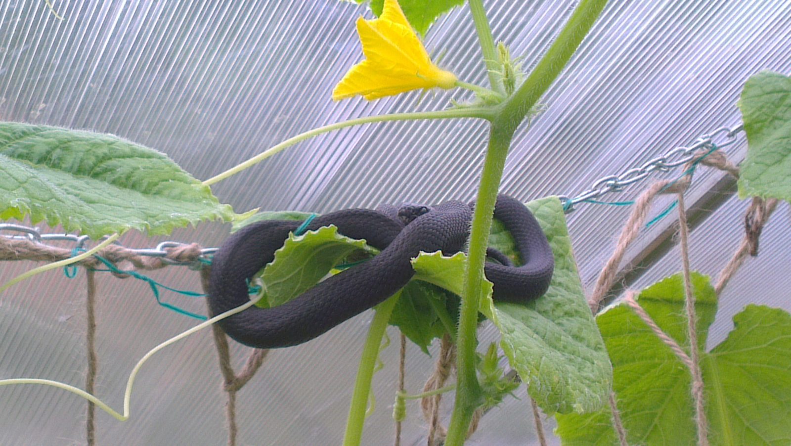 Valokuvaaja: Jorma Mäki