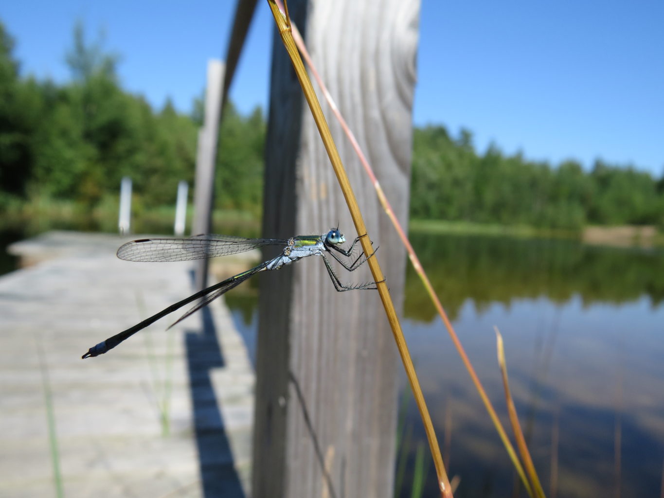 Valokuvaaja: Sirpa Uusi-Uola
