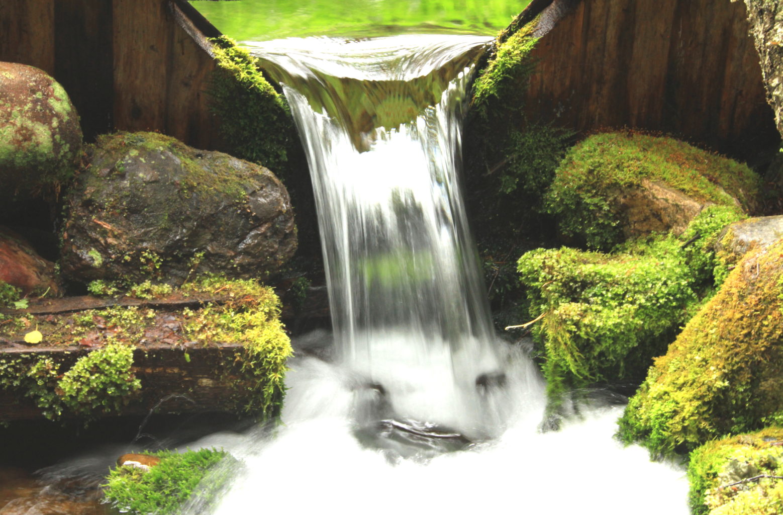 Valokuvaaja: Jurkko Veijo