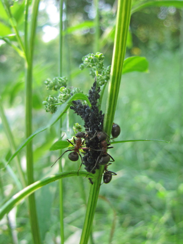 Valokuvaaja: Liisa Johansson