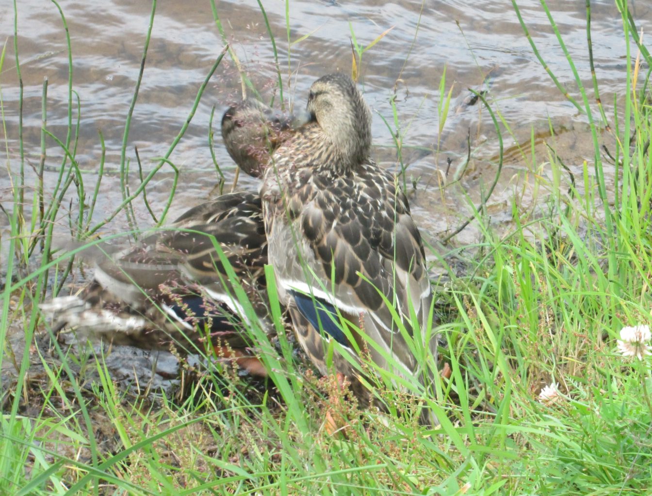 Valokuvaaja: Tuula Makkonen